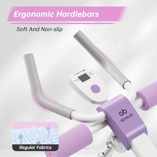 Abdominal Machine Ab Workout Equipment Review: Effective Home Gym Abs Trainer?